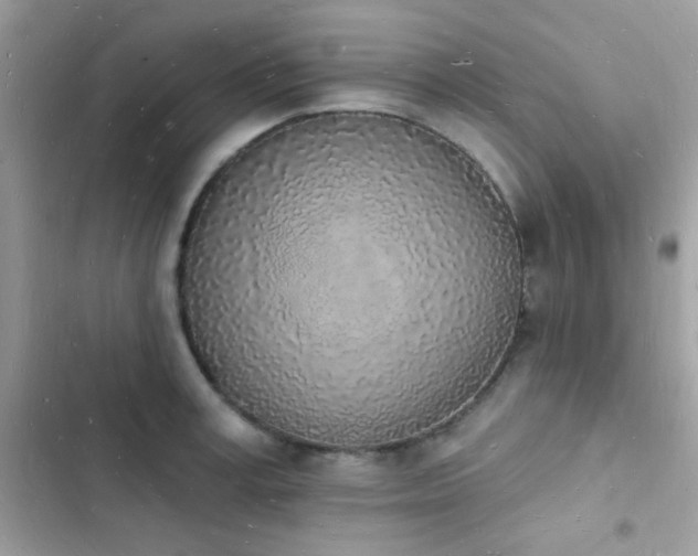 X0000103970995200809191530