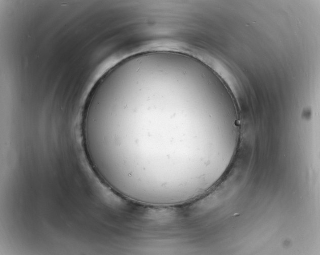 X0000103970997200809191530