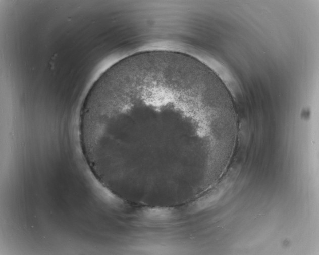 X0000103970998200809191530