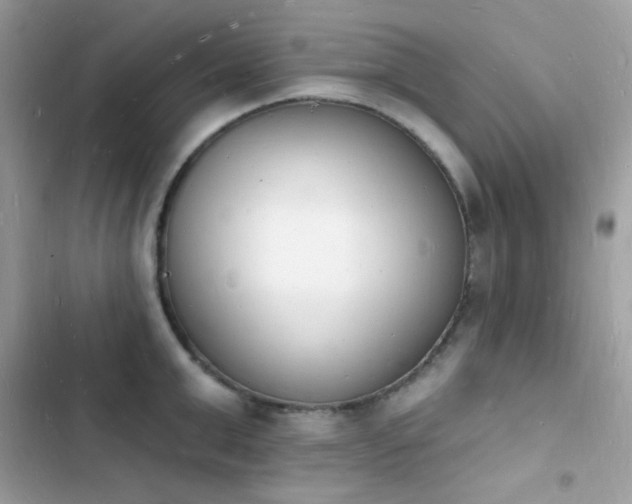 X0000103970999200809191530