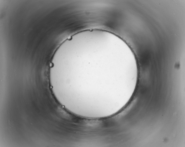 X0000103971001200809191530