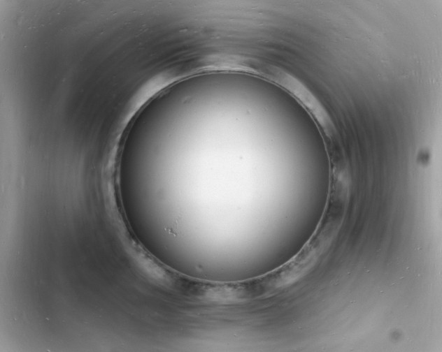 X0000103971002200809191530