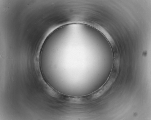 X0000103971004200809191530