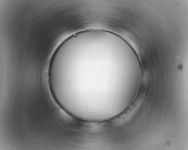 X0000103971005200809191530