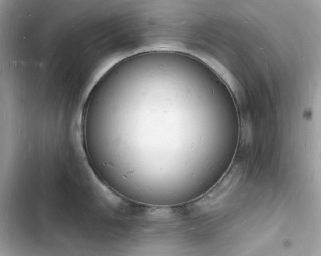 X0000103971006200809191530