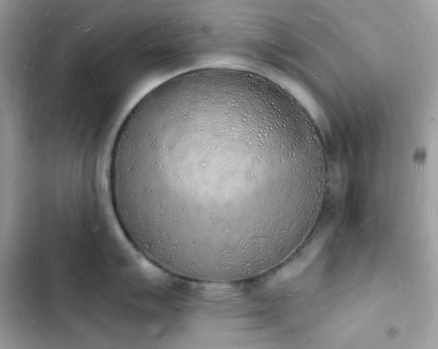 X0000103971007200809191530