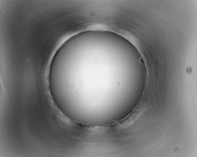 X0000103971008200809191530