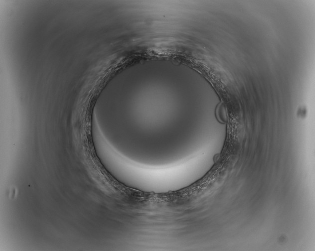 X0000103971009200809191529