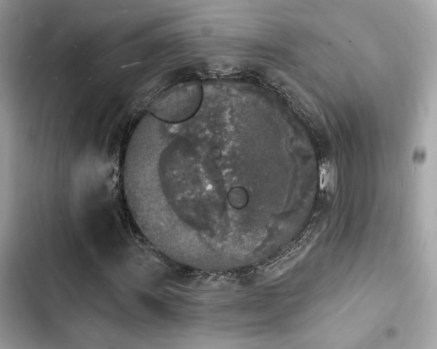 X0000103971011200809191529