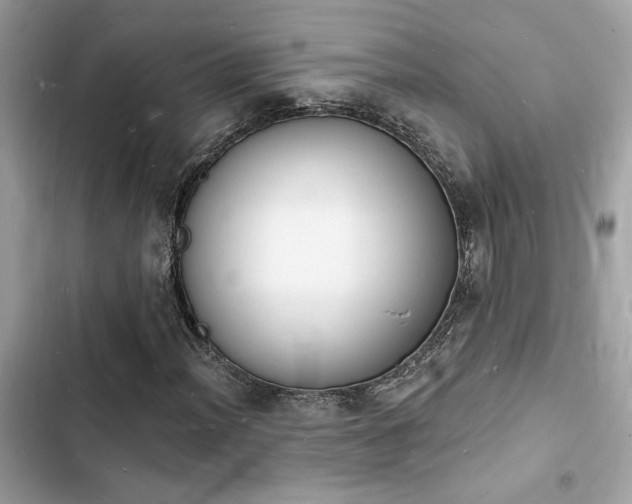 X0000103971012200809191529