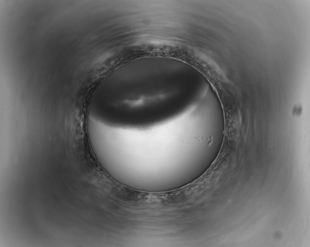 X0000103971013200809191529