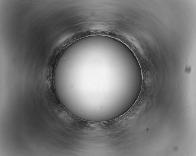 X0000103971015200809191529