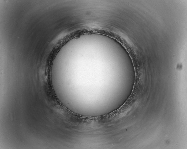 X0000103971016200809191529