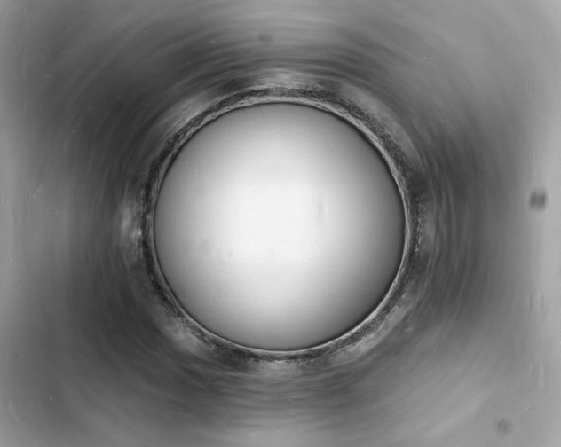 X0000103971017200809191529