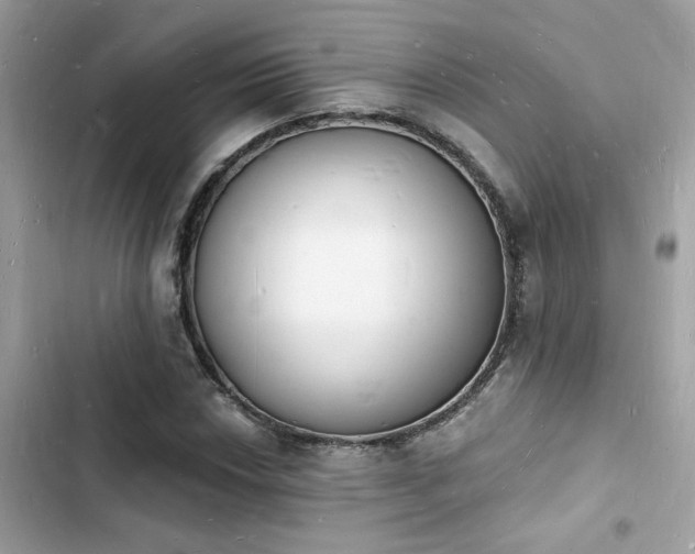 X0000103971018200809191529