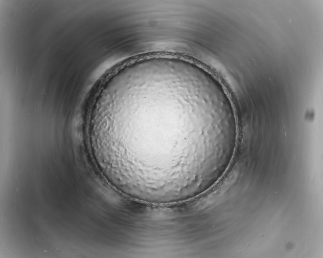 X0000103971019200809191529