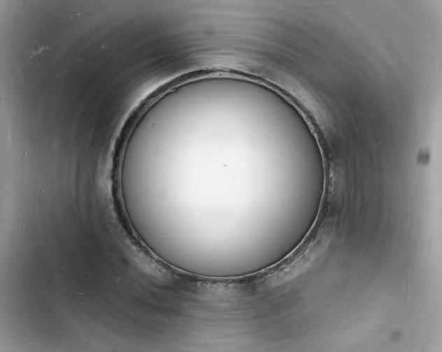 X0000103971020200809191529