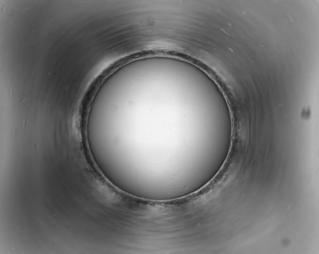 X0000103971022200809191529