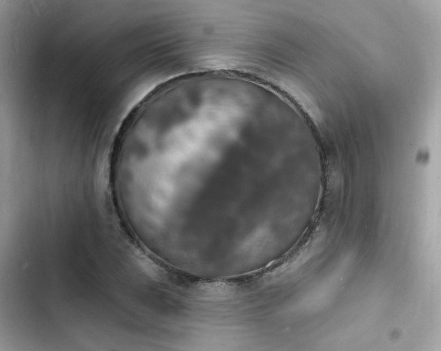 X0000103971023200809191529