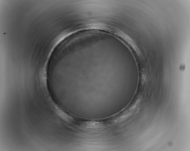 X0000103971024200809191529