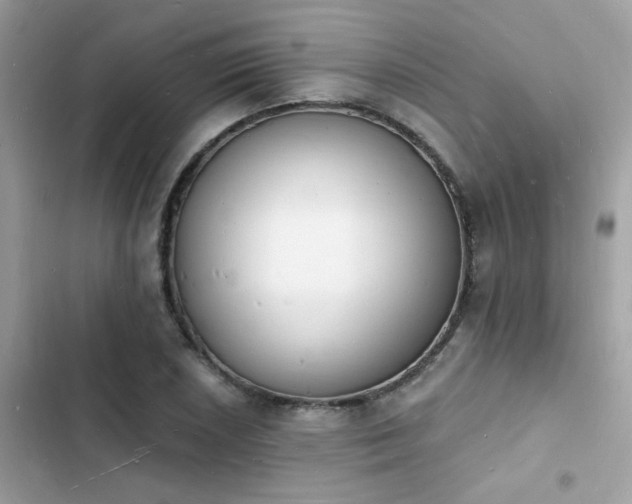 X0000103971026200809191529