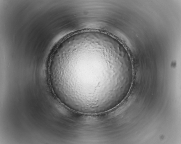 X0000103971027200809191529