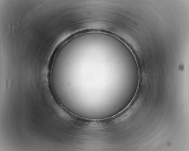 X0000103971029200809191529