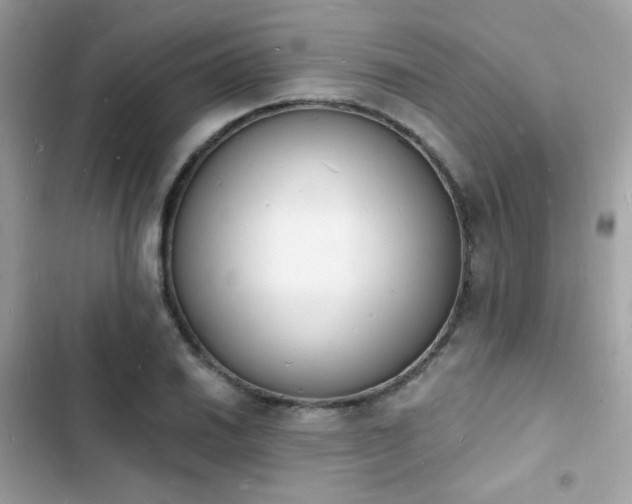 X0000103971030200809191529