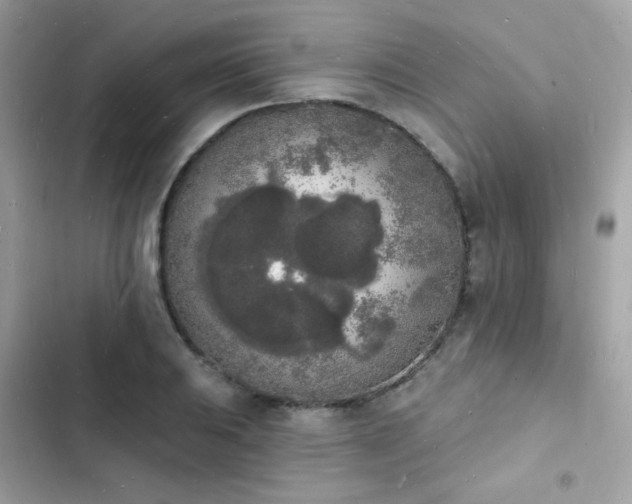 X0000103971031200809191529