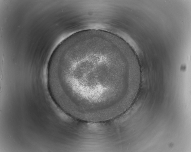 X0000103971032200809191529