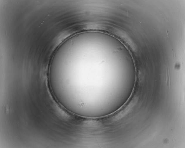 X0000103971033200809191529