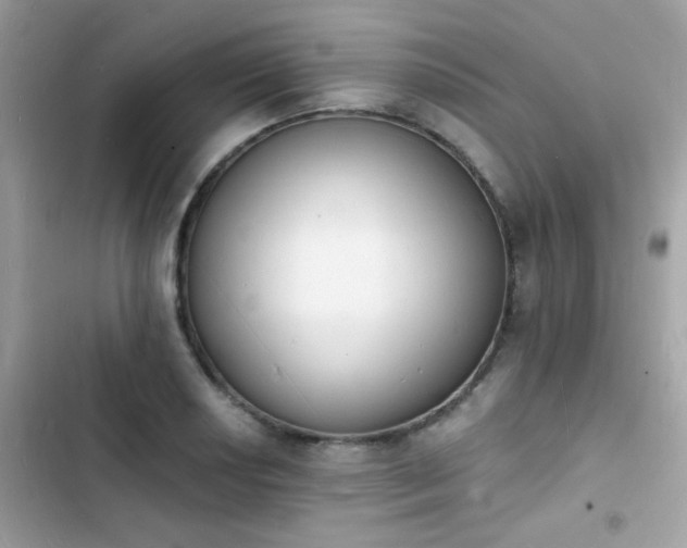 X0000103971034200809191529