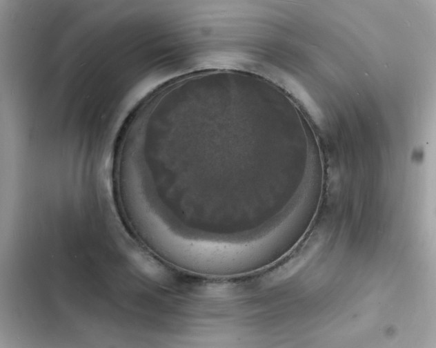 X0000103971035200809191529