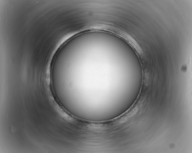 X0000103971036200809191529