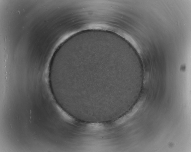 X0000103971037200809191529