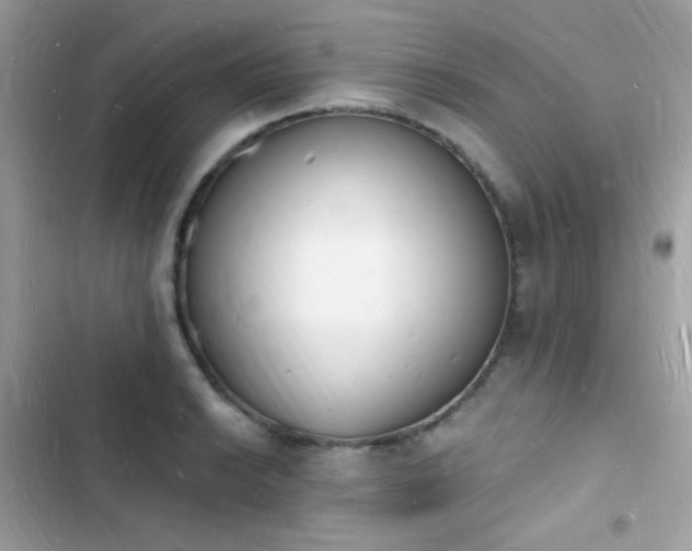 X0000103971038200809191529