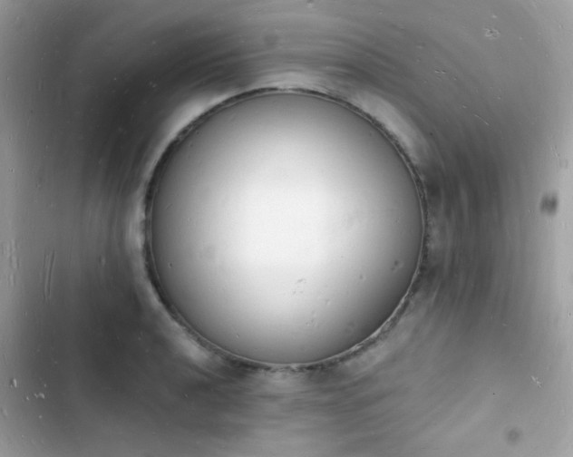 X0000103971040200809191529