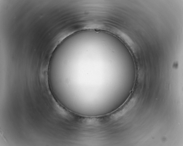 X0000103971041200809191530