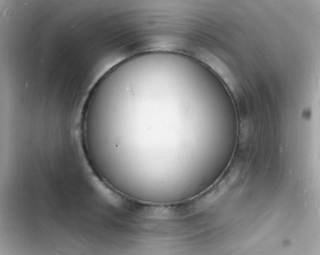 X0000103971042200809191530