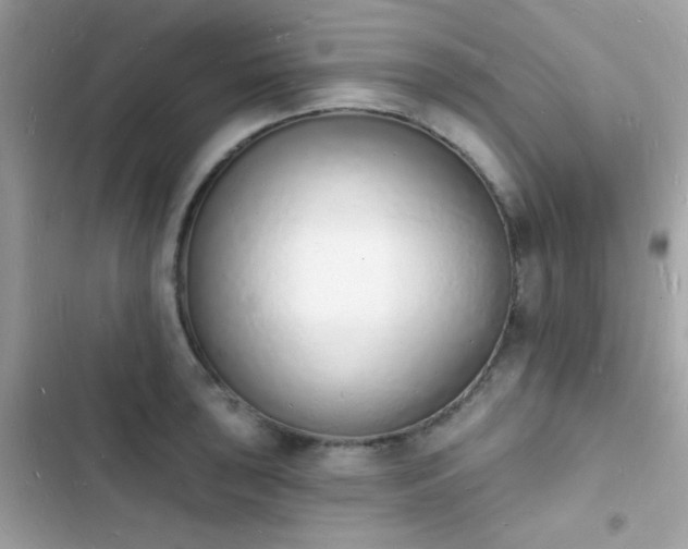 X0000103971043200809191530