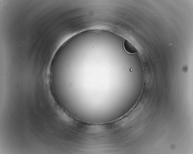 X0000103971044200809191530