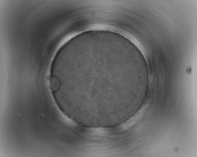 X0000103971045200809191530