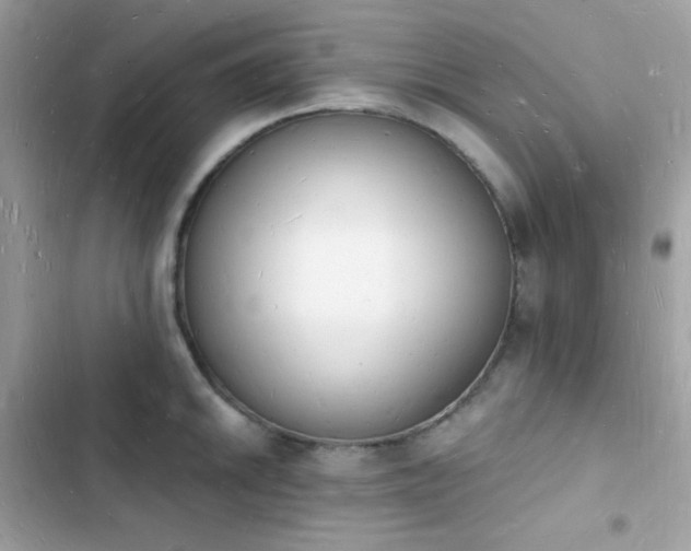 X0000103971046200809191530