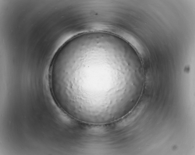 X0000103971047200809191530