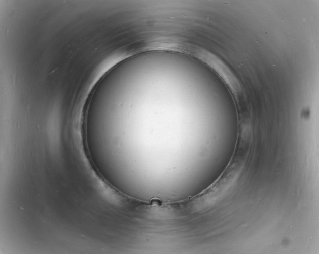 X0000103971050200809191530