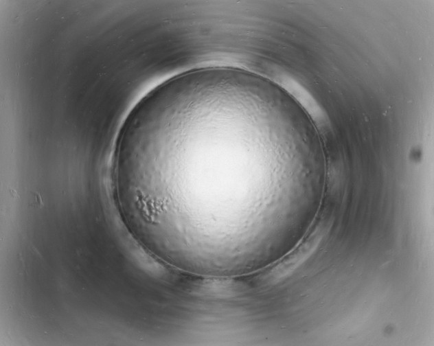 X0000103971052200809191530