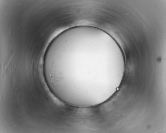 X0000103971053200809191530