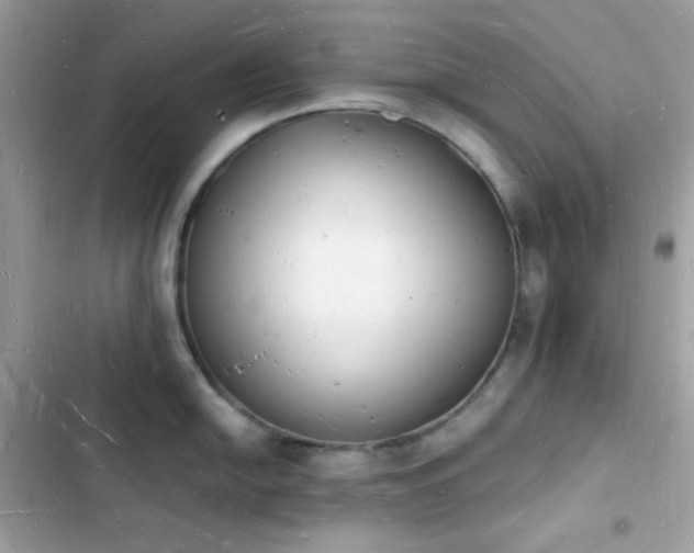 X0000103971054200809191530