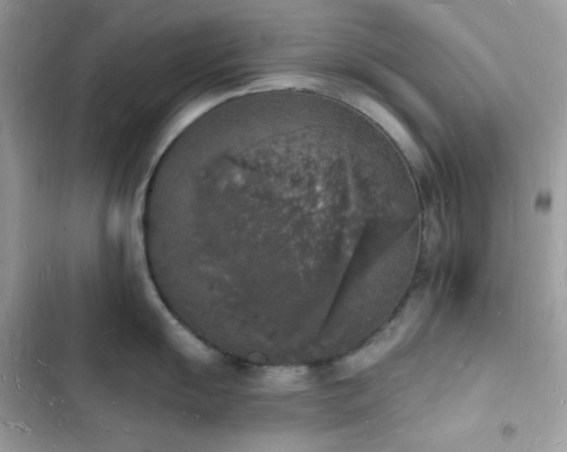 X0000103971055200809191530