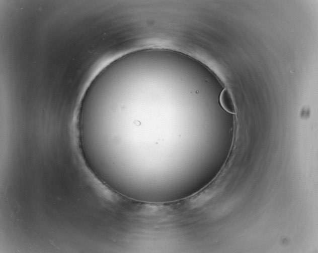 X0000103971056200809191530